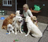 Bob's Hundefamilie - Lisa, Rose, Dirk, Ashlyn & Eden - und seit Anfang April nun auch seine "kleine" Spielgefhrtin Emma.